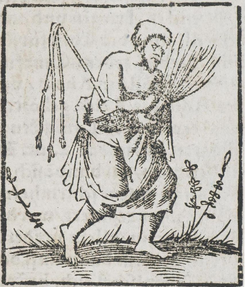 Große Abbildung Nr.1: 135-472 (Münster, Seb.: (Alte Drucke, Handschriften und Theologie)