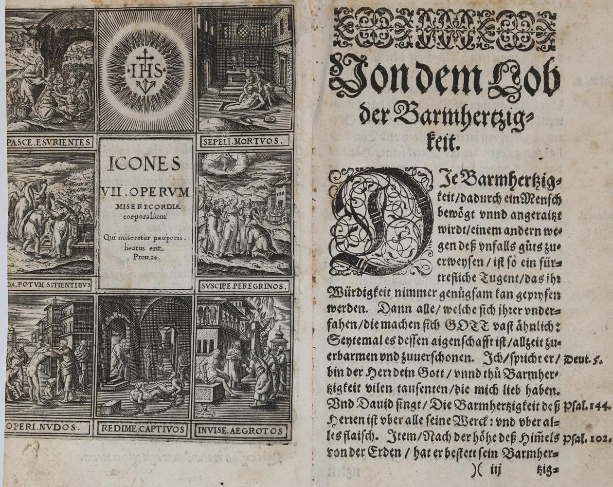 Große Abbildung Nr.2: 135-546 Roscius,J.H.: (Alte Drucke, Handschriften und Theologie)