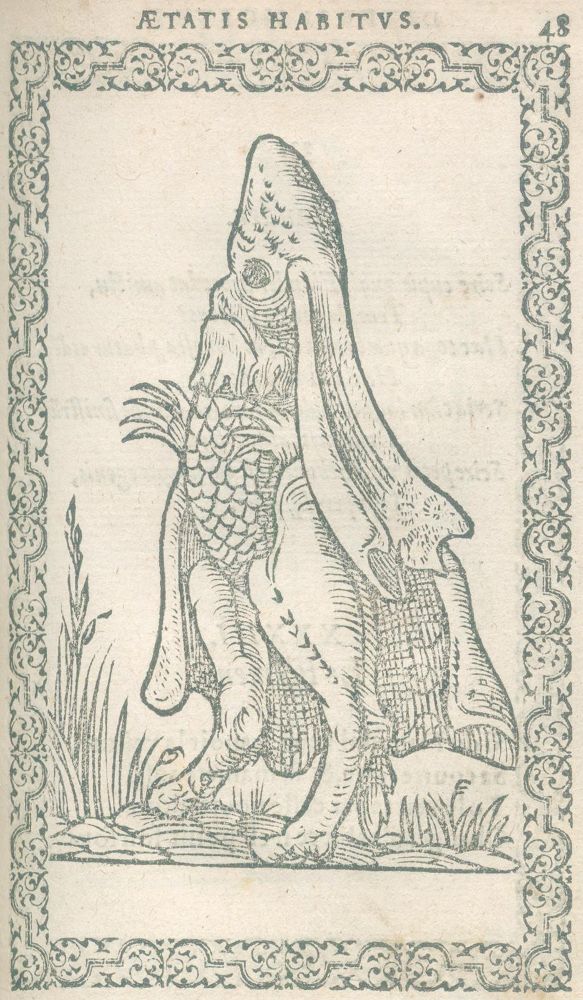 Große Abbildung Nr.5: 135-587 (Sluperius,J.: (Alte Drucke, Handschriften und Theologie)