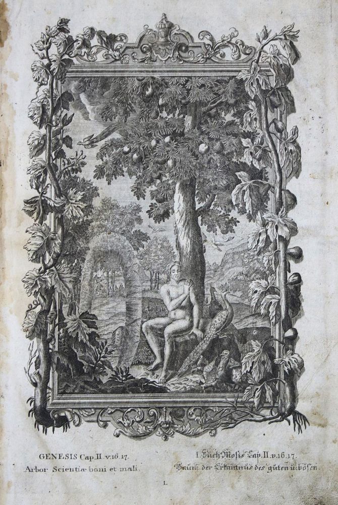 Große Abbildung Nr.1: 135-60 Biblia germanica.: (Bibeln)