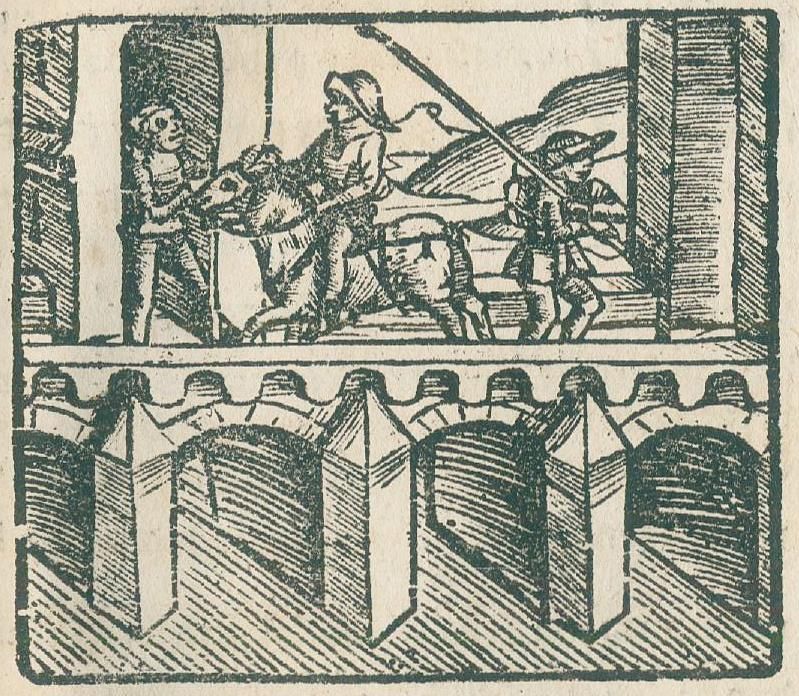 Große Abbildung Nr.2: 135-652 [Widmann, Johann].: (Alte Drucke, Handschriften und Theologie)
