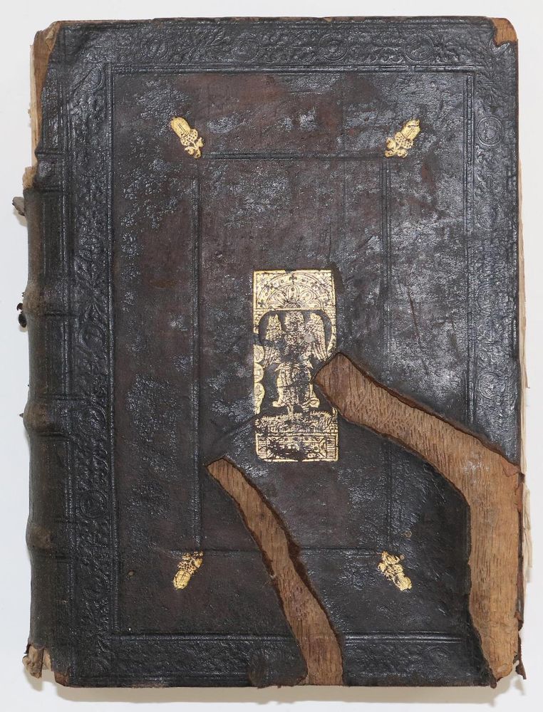 Große Abbildung Nr.2: 135-654 Wiedertäufer.: (Alte Drucke, Handschriften und Theologie)
