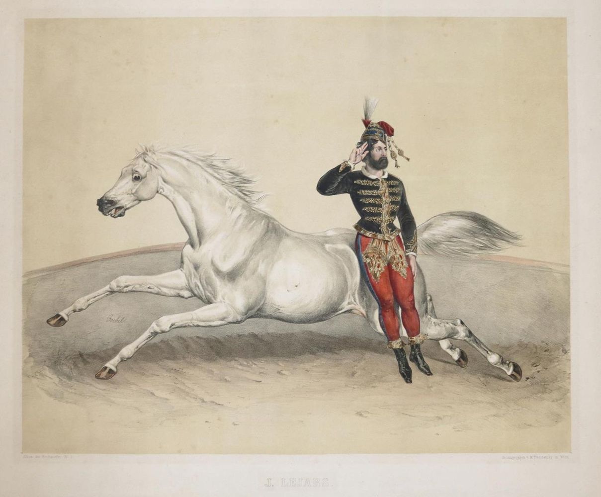 Große Abbildung Nr.1: 135-918 Album der Reitkünstler.: (Zirkus, Pferde)