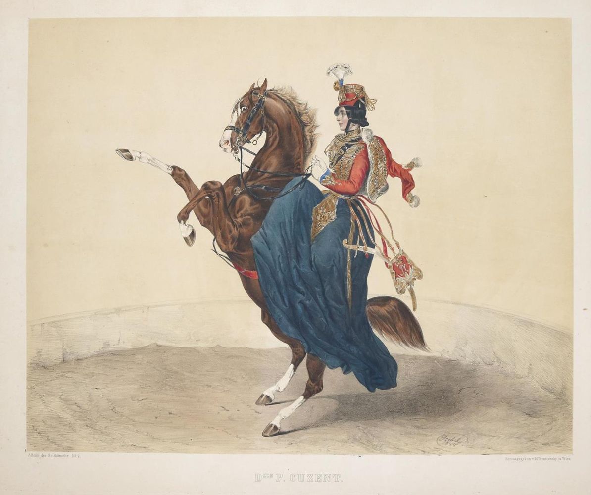 Große Abbildung Nr.2: 135-918 Album der Reitkünstler.: (Zirkus, Pferde)