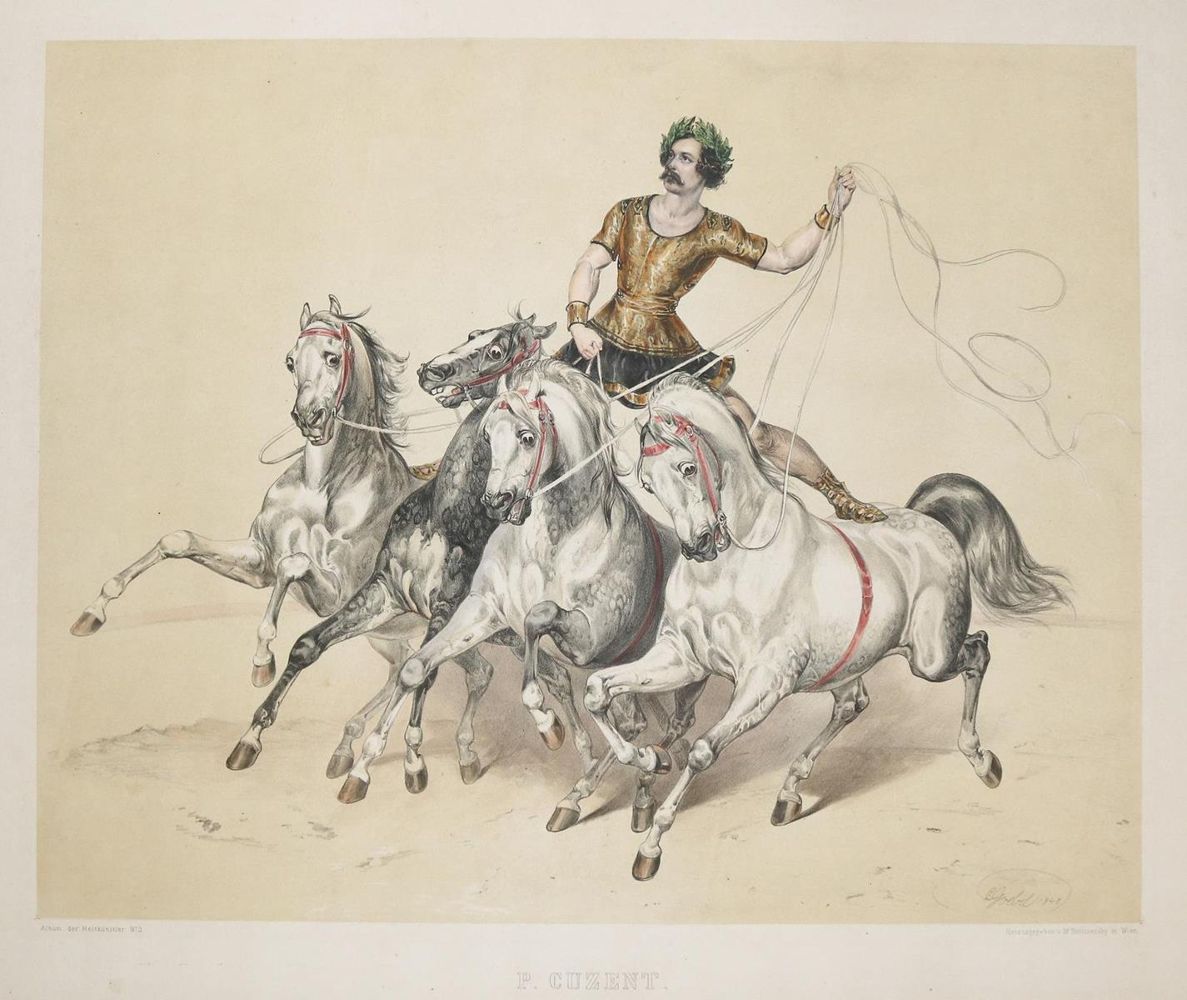 Große Abbildung Nr.3: 135-918 Album der Reitkünstler.: (Zirkus, Pferde)