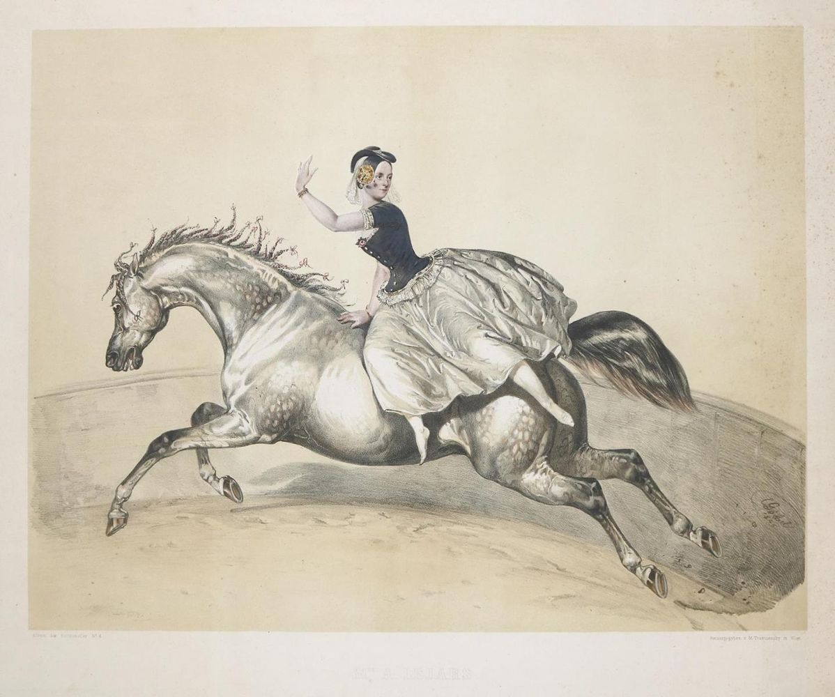 Große Abbildung Nr.4: 135-918 Album der Reitkünstler.: (Zirkus, Pferde)