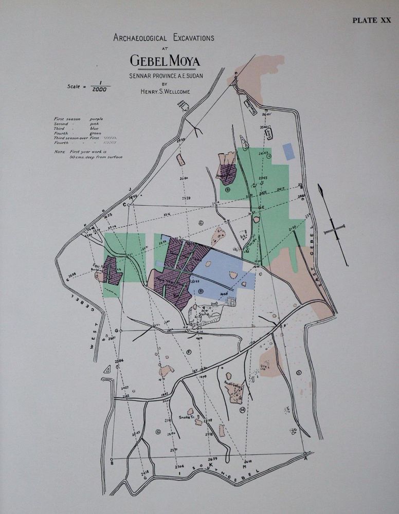 Große Abbildung Nr.1: 135-973 Wellcome Excavations, The,: (Architektur)