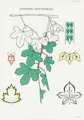 Bild Nr.2: 135-1018 Bohla,A.: (Ornamente)