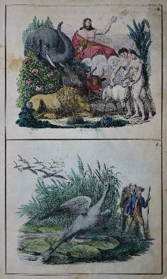 Bild Nr.1: 135-1216 Hoffmann,F.: (Kinder- und Jugendbücher)