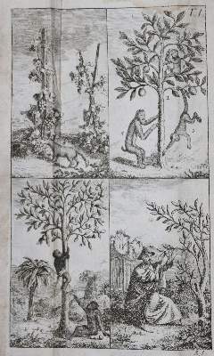 Bild Nr.2: 135-1253 Raff,G.C.: (Kinder- und Jugendbücher)