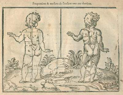 Bild Nr.2: 135-148 Cousin,J.: (Alte Drucke, Handschriften und Theologie)
