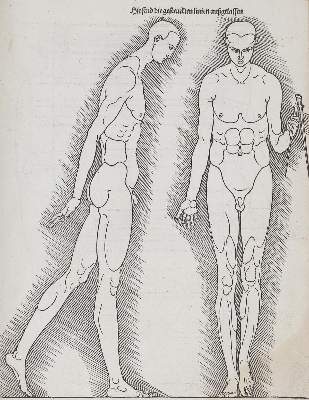 Bild Nr.5: 135-166 Dürer, A. (Alte Drucke, Handschriften und Theologie)