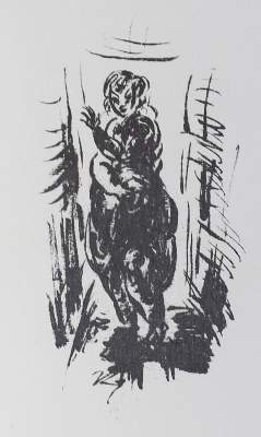 Bild Nr.1: 135-1687 Ziegler, Richard: (Literatur und illustrierte Bücher 20.Jahrhundert - Alte Literatur in modernen Ausgaben)