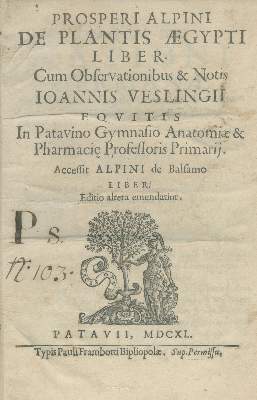 Bild Nr.1: 135-1689 Alpino, P.: (Botanik, Ägypten)