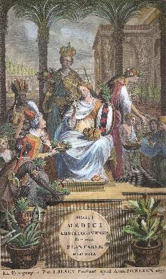 Bild Nr.1: 135-1693 Commelin,C.: (Botanik)