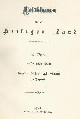 Bild Nr.3: 135-1707 Zeller,H. (geb. Gobat).: (Botanik)