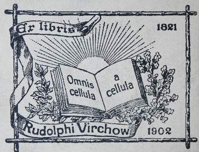 Bild Nr.2: 135-1745 Sechenov,I.M.: (Medizin)