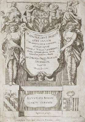 Bild Nr.1: 135-1755 Aldrovandi,U.: (Zoologie, Insekten)