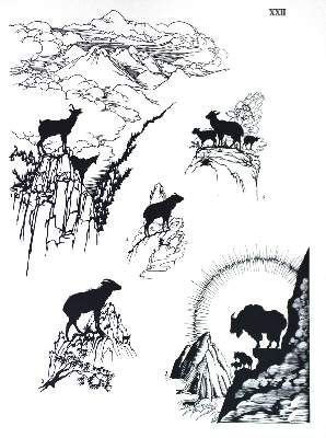 Bild Nr.2: 135-1759 Mochi,U. u. T.D.Carter.: (Zoologie)