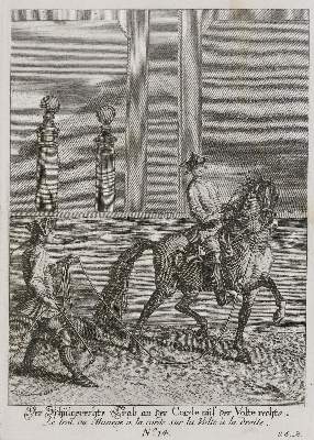 Bild Nr.1: 135-1763 Ridinger,J.E.: (Zoologie, Pferde)