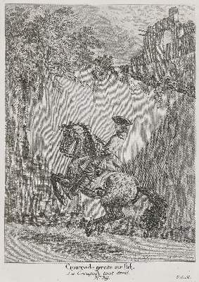 Bild Nr.2: 135-1763 Ridinger,J.E.: (Zoologie, Pferde)