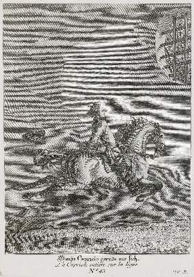 Bild Nr.3: 135-1763 Ridinger,J.E.: (Zoologie, Pferde)