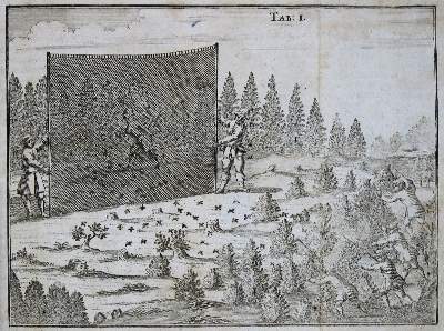 Bild Nr.1: 135-1772 (Pernau,F.A.v.).: (Zoologie, Vögel)