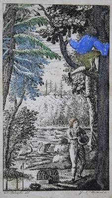 Bild Nr.3: 135-1772 (Pernau,F.A.v.).: (Zoologie, Vögel)