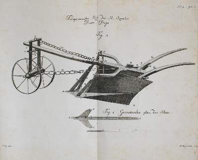 Bild Nr.1: 135-1786 (Bailey, W.).: (Verschiedene Gebiete - Varia)