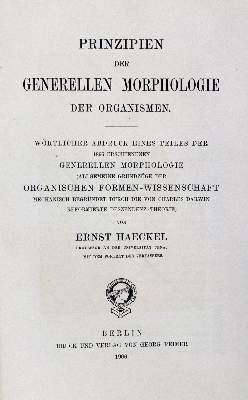 Bild Nr.2: 135-1812 Haeckel,E: (Verschiedene Gebiete - Varia)