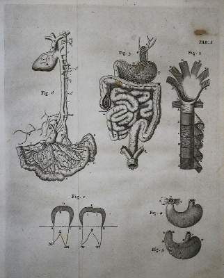Bild Nr.1: 135-1841 Nieuwentyt,B.: (Verschiedene Gebiete - Varia)
