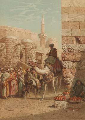 Bild Nr.1: 135-1870 Werner,C.F.H.: (Afrika, Ägypten)
