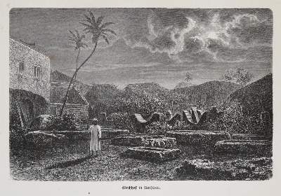 Bild Nr.1: 135-1879 Decken,C.C.v.der.: (Afrika)