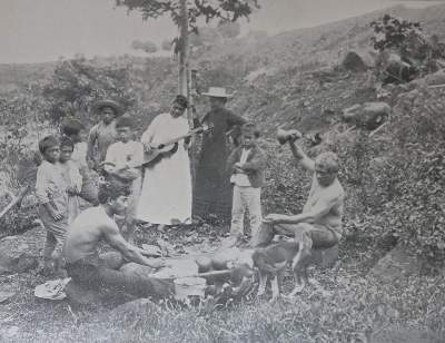 Bild Nr.2: 135-1909 Oleson,W.B.: (Amerika, Hawaii)