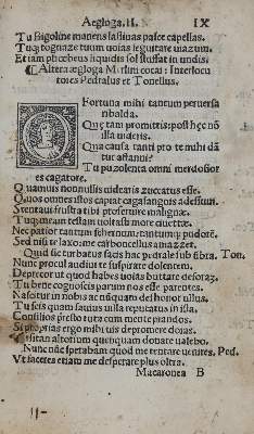 Bild Nr.2: 135-208 Folengo,T.: (Alte Drucke, Handschriften und Theologie)