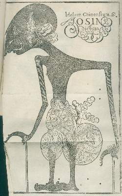 Bild Nr.1: 135-2320 Hoffmann,C.: (Verschiedene Länder - Geschichte)
