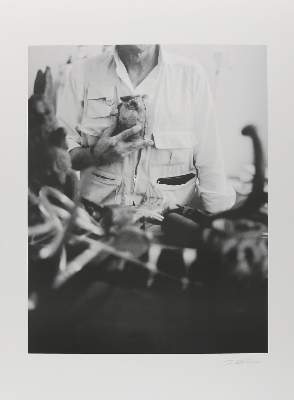 Bild Nr.1: 135-2578 Hiltmann, Jochen: (Beuys)