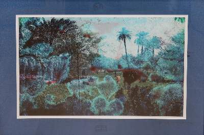 Bild Nr.2: 135-2592 Orel, Frank M.: (Photographie)