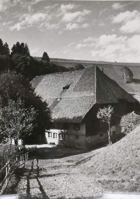 Bild Nr.2: 135-2605 Billmann, Photo,: (Schwarzwald)