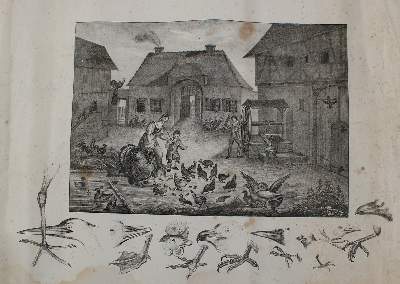 Bild Nr.3: 135-2614 Bauernhof.: (Varia, Anschauungsbilder)