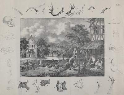 Bild Nr.1: 135-2615 Landwirtschaft.: (Varia, Anschauungsbilder)