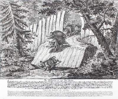 Bild Nr.1: 135-2709 Wolfsjagd.: (Varia, Jagd, Ridinger)