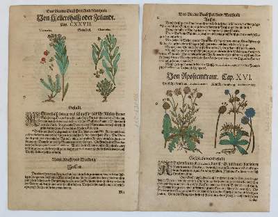 Bild Nr.1: 135-2731 Konvolut: (Varia)