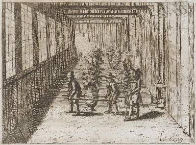 Bild Nr.2: 135-2735 Konvolut: (Varia, Landwirtschaft)