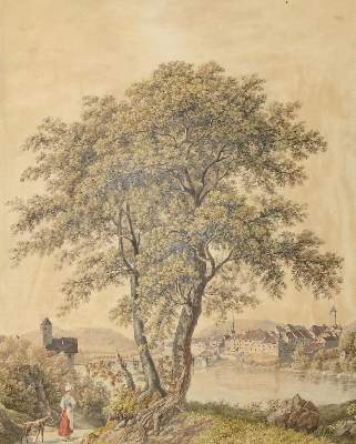 Bild Nr.1: 135-3483 Kaiserstuhl.: (Ausland, Schweiz)