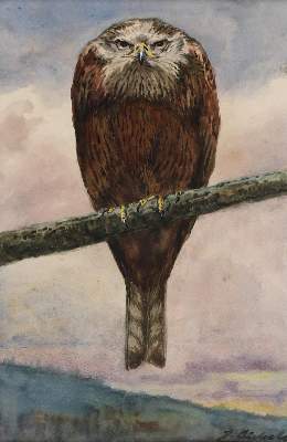 Bild Nr.1: 135-3539 Aichele, Erwin: (Künstlergraphik)