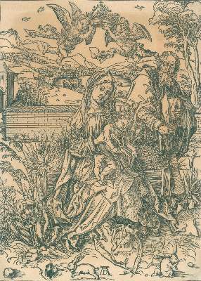 Bild Nr.1: 135-3759 Dürer, Albrecht: (Künstlergraphik)