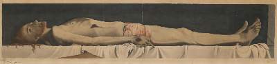 Bild Nr.1: 135-3912 Holbein, Hans d.J.: (Künstlergraphik)