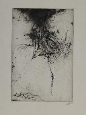 Bild Nr.2: 135-3954 Janssen, Horst: (Künstlergraphik)