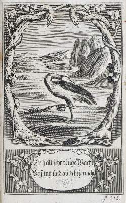 Bild Nr.1: 135-396 Lassenius,J.: (Alte Drucke, Handschriften und Theologie)